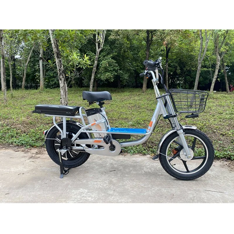 Eb-Yl2ds Electric Bike Lithium Bicycle Cargo Bike Vehicle Scooter Ebike