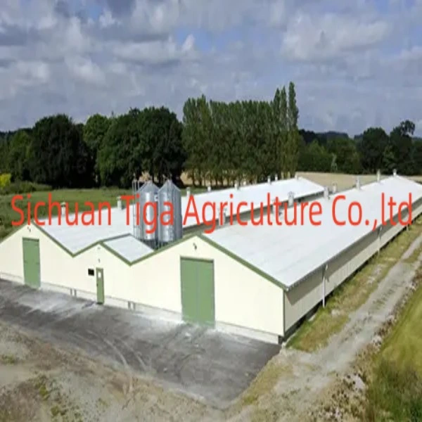 Australian Standard Prefabricated Steel Framed House Steel Roof Trusses for Industrial Building