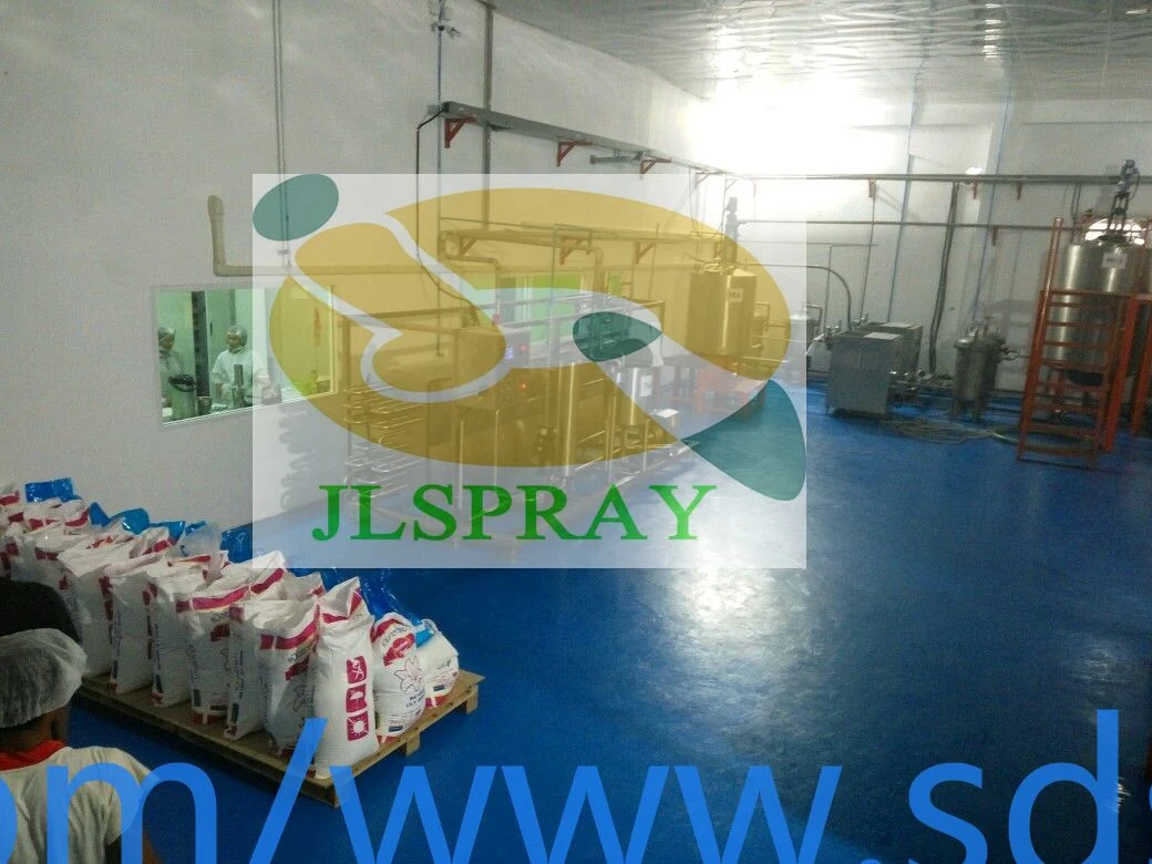 Automatic Complete Milk Powder Processing Plant Auto Dairy Milk Powder Production Machinery