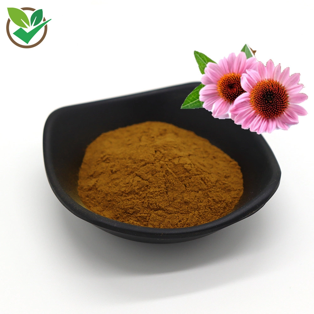 100% natural en polvo extracto de Echinacea