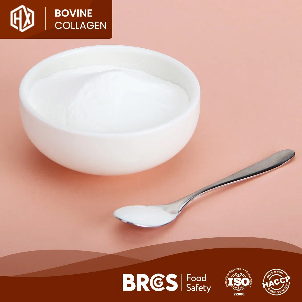 Haoxiang Quality Bovine Bone Collagen OEM Customized Flavourless Pure Bovine Collagen China Manufacturers One-Stop Service Cheap Price Collagen Peptides Gelatin