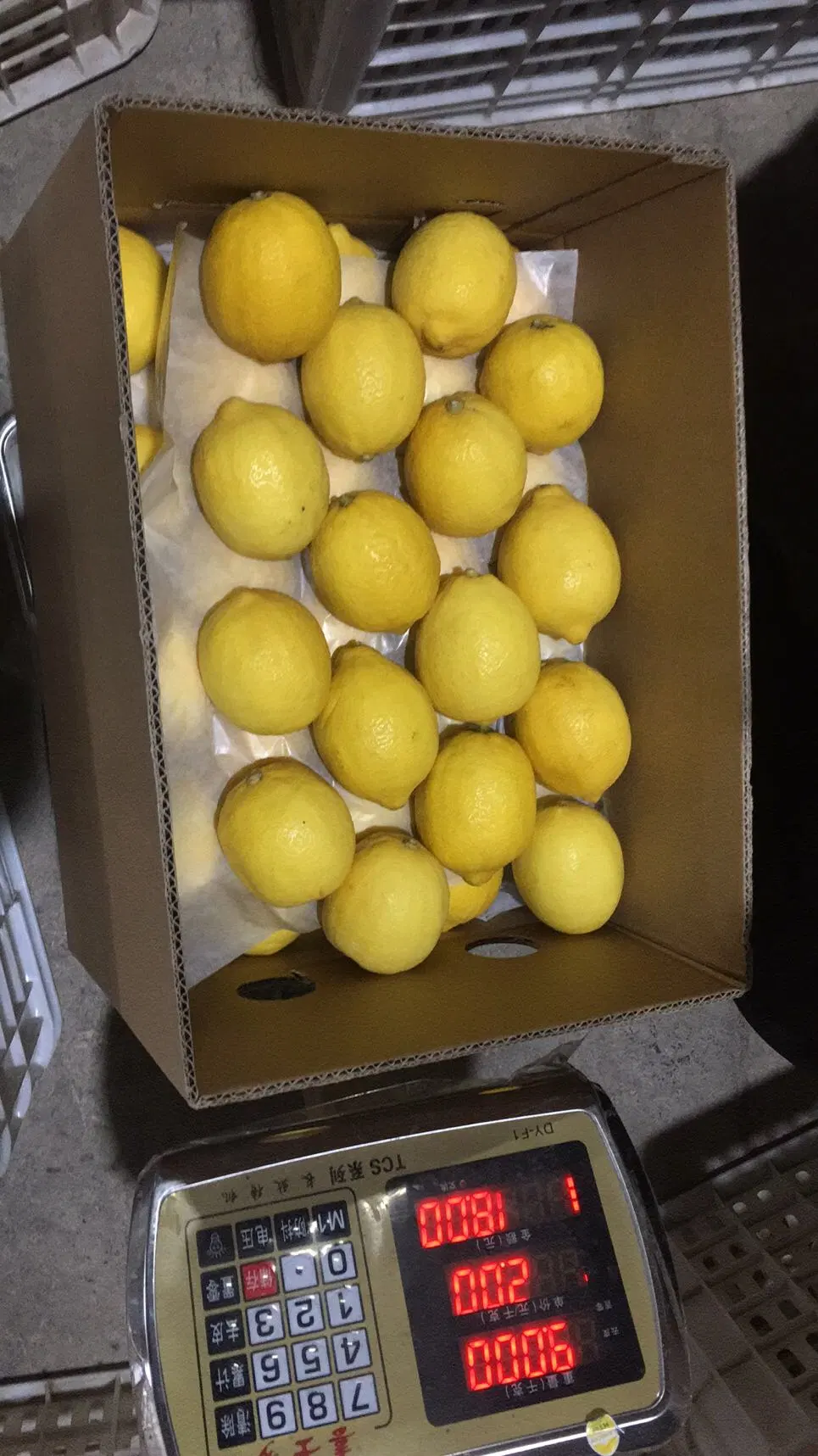 China New Crop Hot Sell Fresh Lemon Eureka Lemon