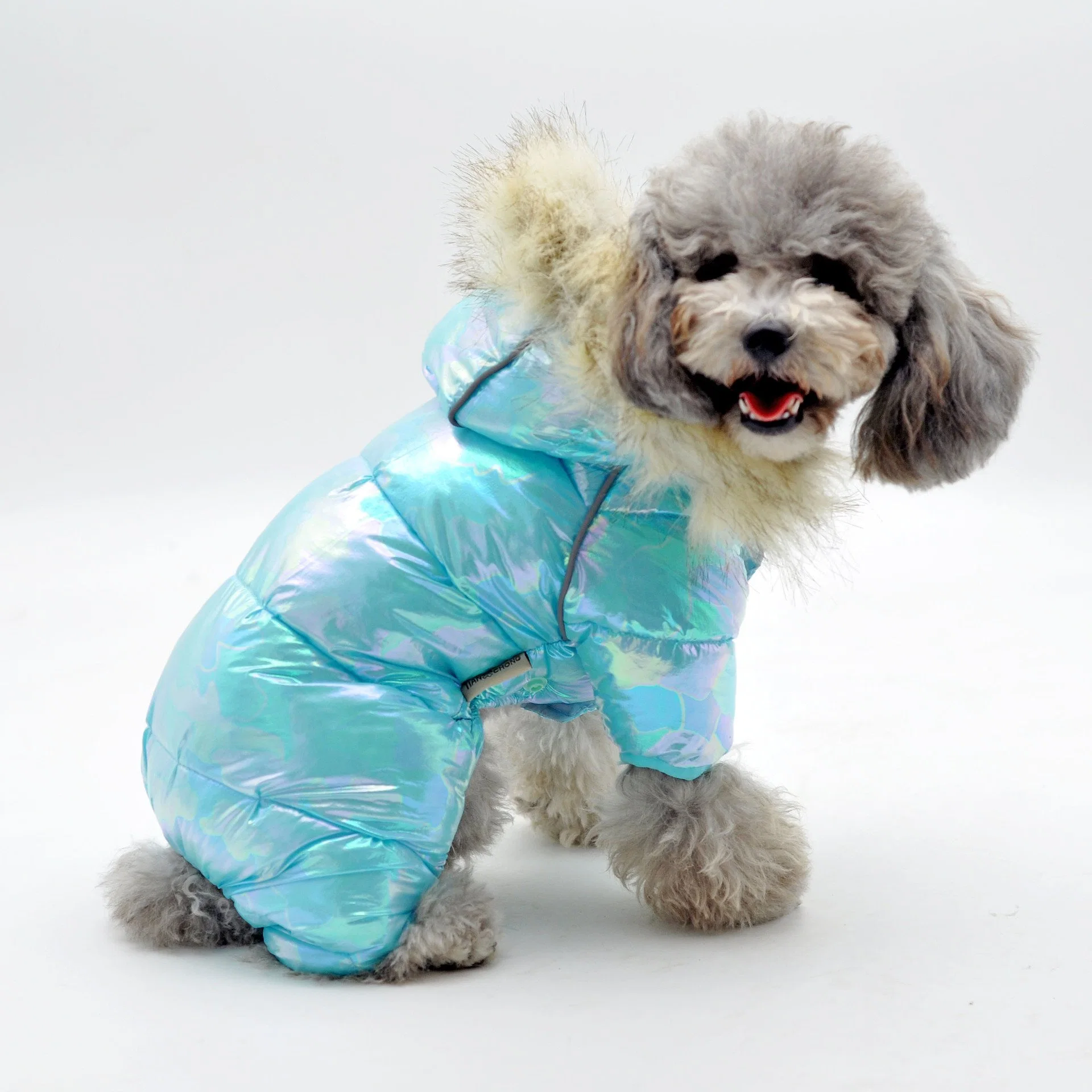 Dog Clothing Wear, Winter Clothing, Teddy Autumn/Winter Cotton Jacket, Bixiong Pomeranian Small Dog Spring/Autumn Down Cotton Jacket Apparel