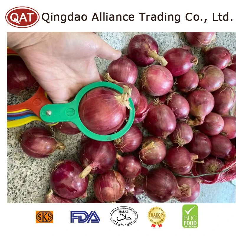 High quality/High cost performance  China Fresh Red Onion Pearl Onion para exportação