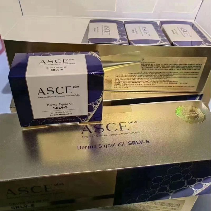 Premium ASCE Plus Derma polvo liofilizado solución de exosoma Reparación Mesoterapia Regeneración de células de la piel