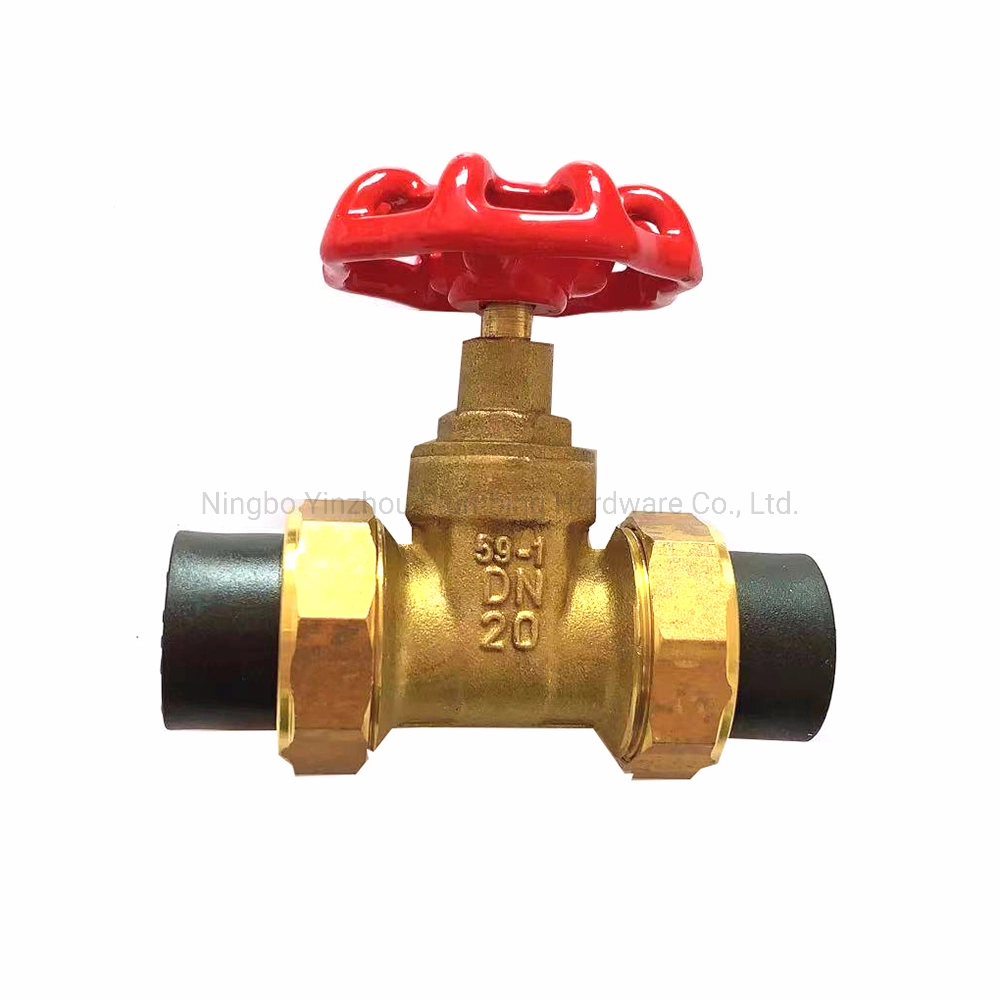 Brass Gate Valve with PE Union