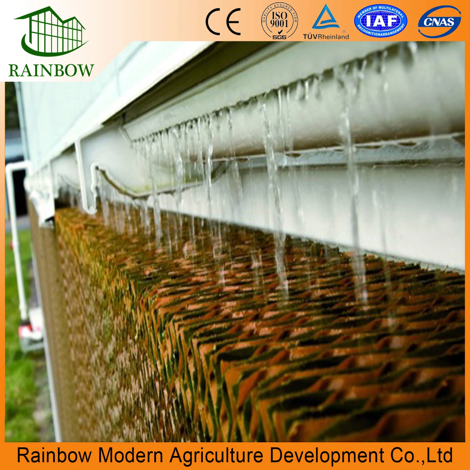 Poultry Equipment Greenhouse with Cooling Pad Hot Sale in China