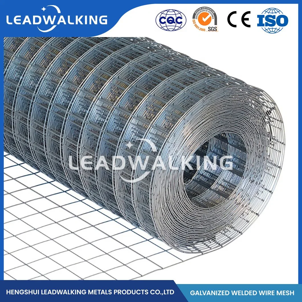 Leadwalking 16 Gauge Weld Mesh Factory OEM Customized Plastic Coated Welded Wire Mesh Roll 2X2 Galvanize China 19.0X19.0mm 1/4 Inch Galvanized Welded Wire Mesh