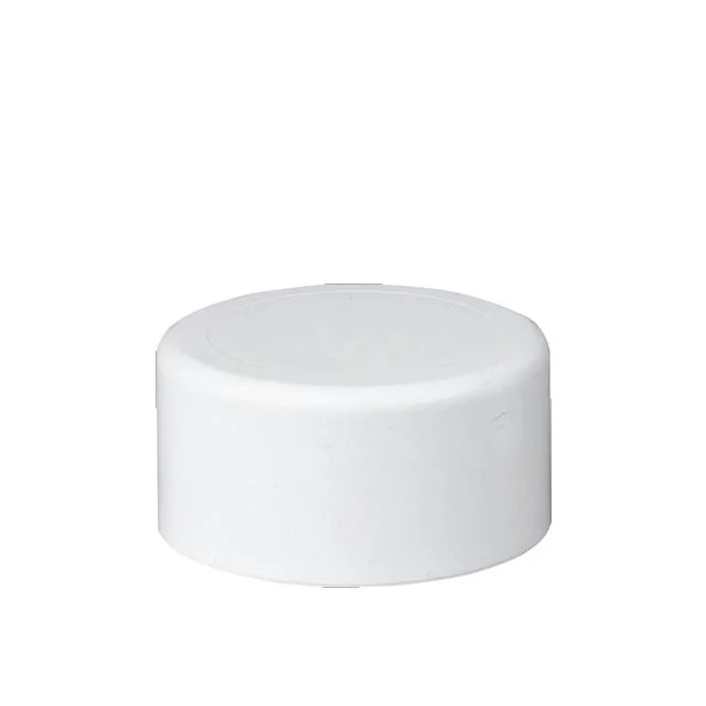 White Color Round All Kinds of Pipes and Fittings End UPVC PVC Pipe Fitting End Plug Can Be Customized According to Requirements