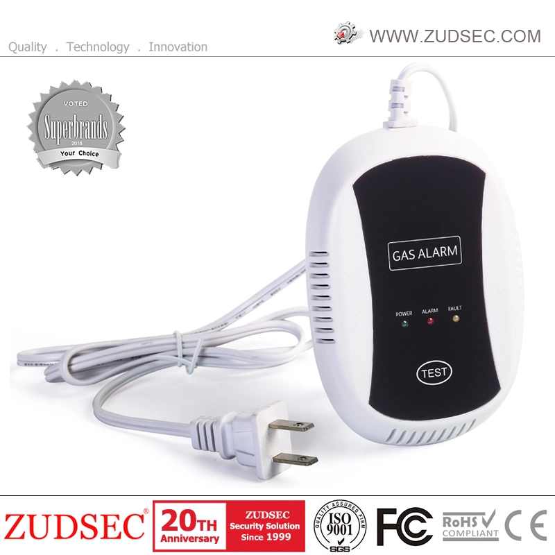 Digital Screen Independent Carbon Monoxide Sensor Co Gas Leak Detector 85dB Indoor Alarm