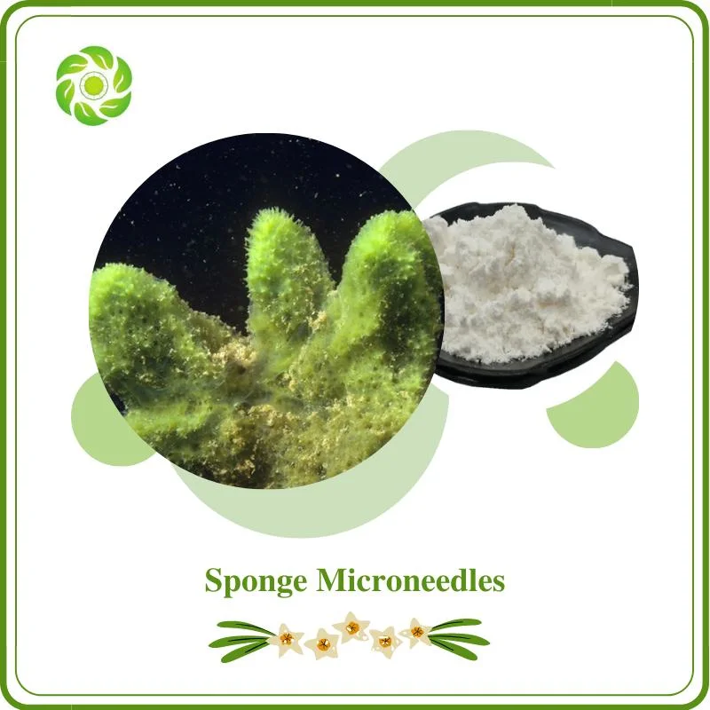 Sponge Microneedles 30% 70%; Cosmetics Raw Material; High quality/High cost performance  and High Efficiency Manufacturer