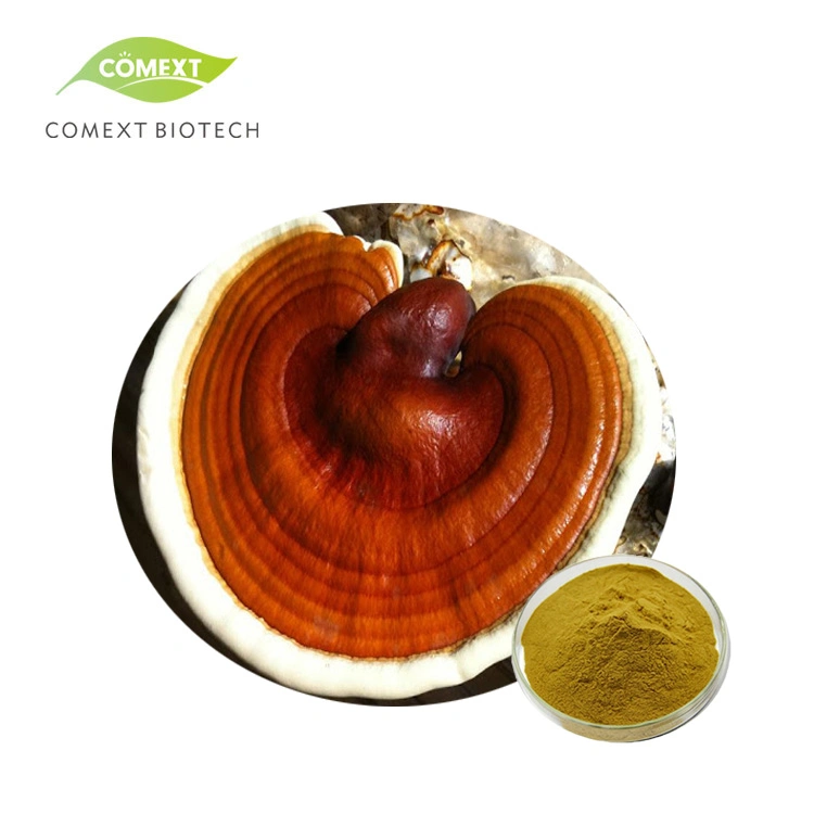 Comext Herbal Extract Factory Price Cell Broken Reishi Mushroom Spore Pó