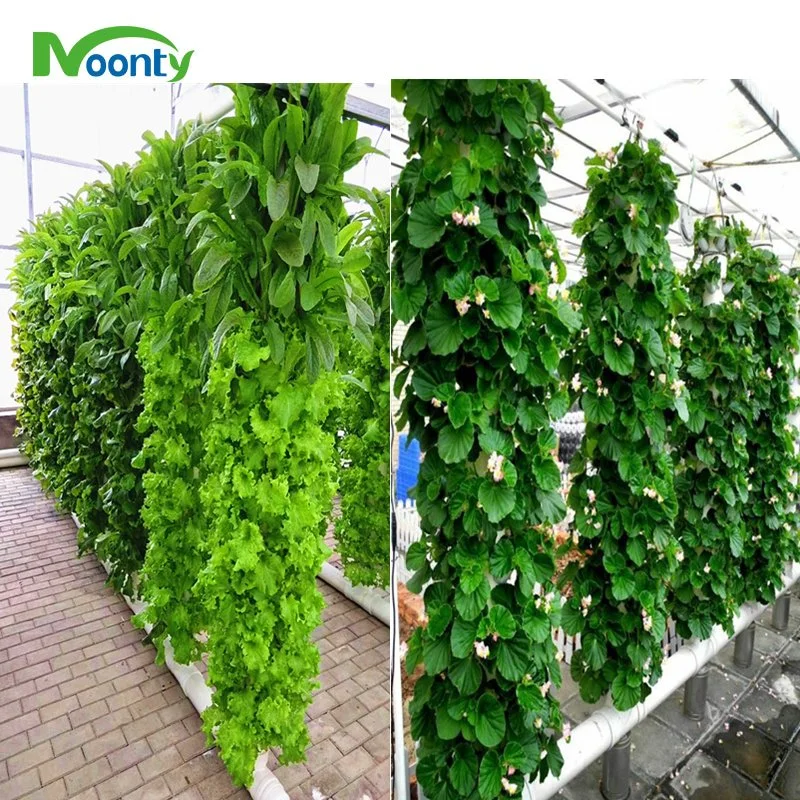 Vertical Farming Indoor Hydroponics Growing System for Lettuce/Vegetable/Crops Planting