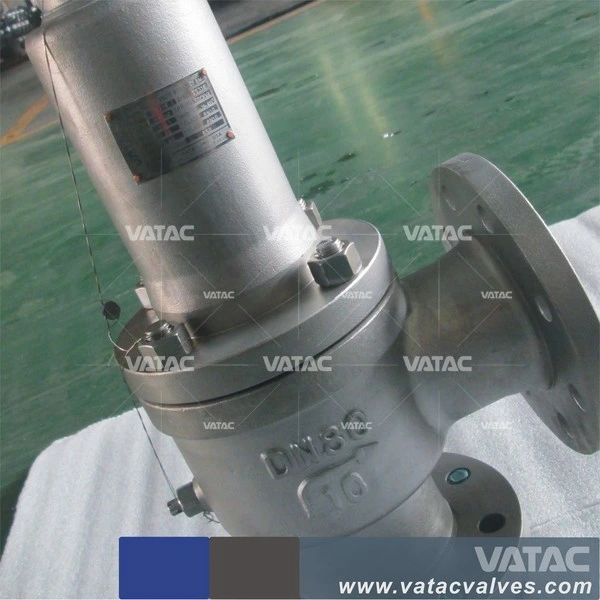 Stainless Steel Spring Loaded Safety Valve