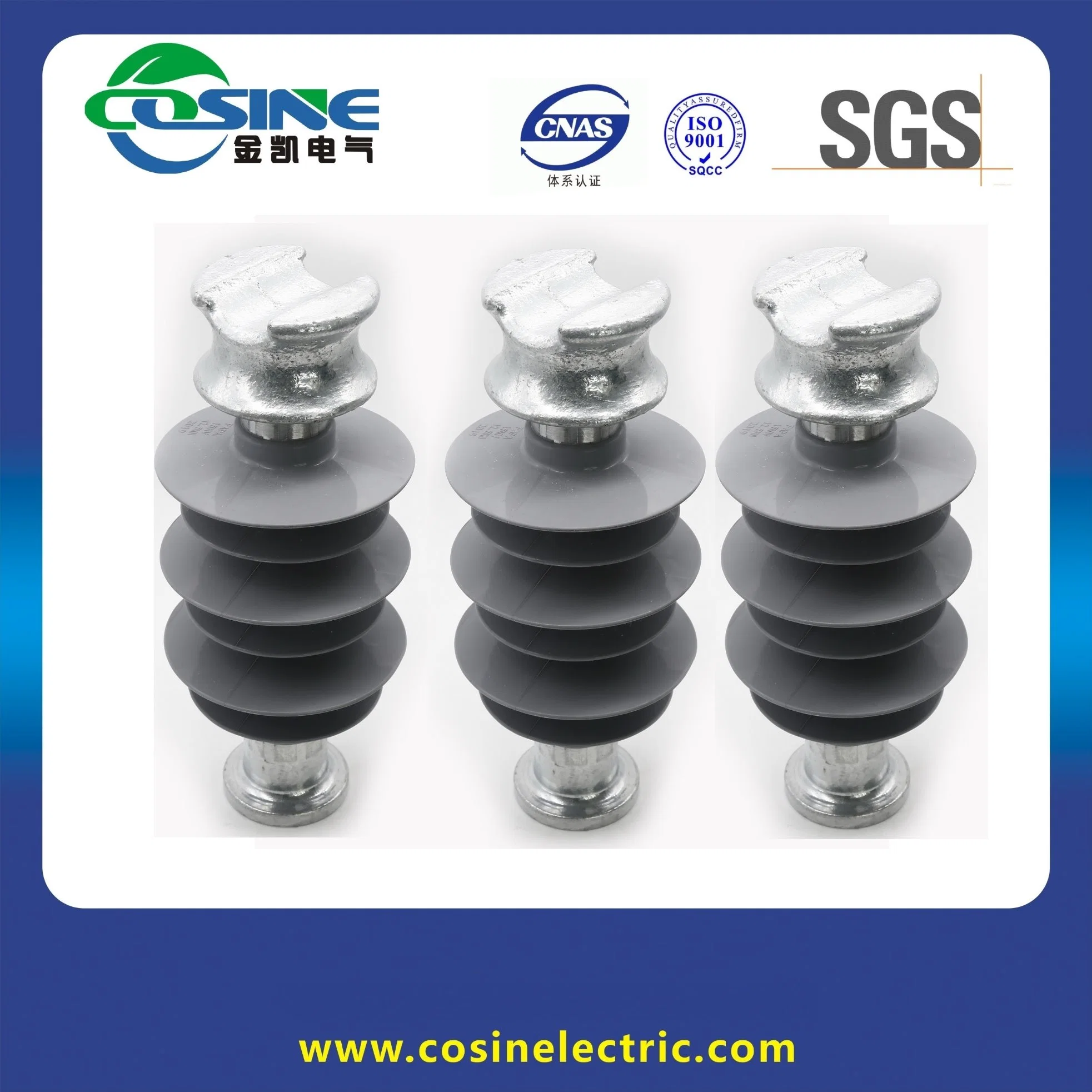 51-4f Line Post Insulator/Polymer Insulator