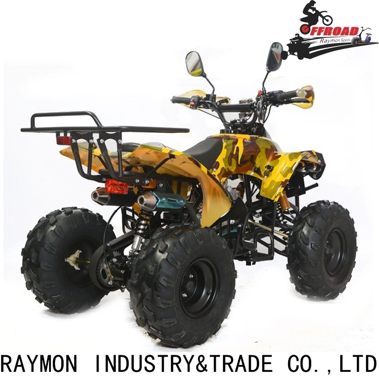 Electric ATV 1000W 60V 20ah Quad Bike