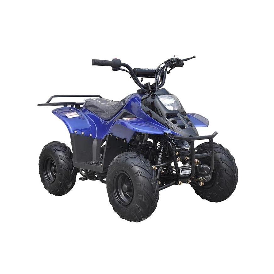 90cc Four-Stroke 2WD off-Road ATV