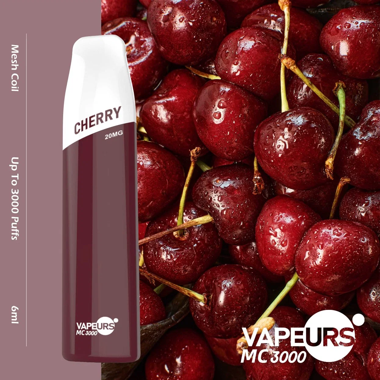 5% Electronic Cigarette E Vapor Disposable/Chargeable Vaporizer Pen Fruit Flavor 3000 Puffs Original Factory Vape Pen