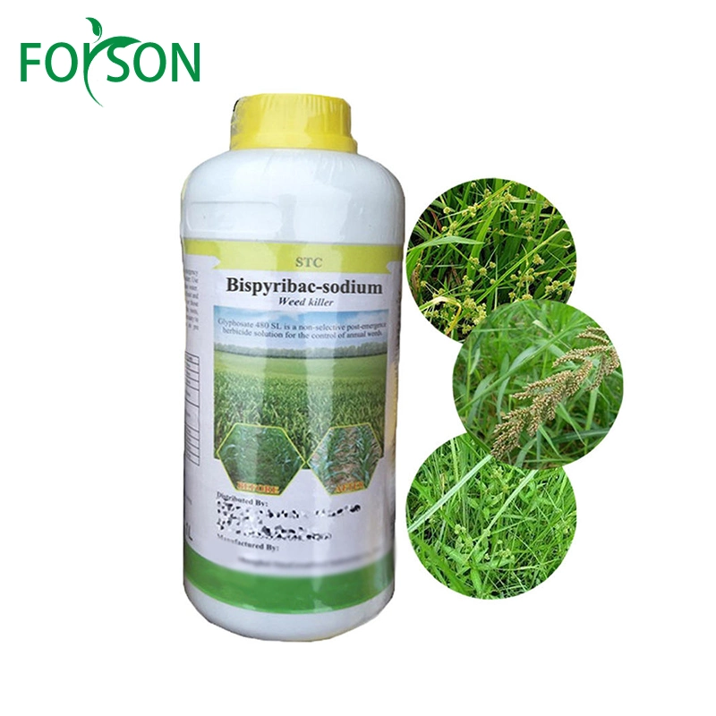 Premium-Quality Bispyribac-Sodium Herbicide for Effective Pest Control