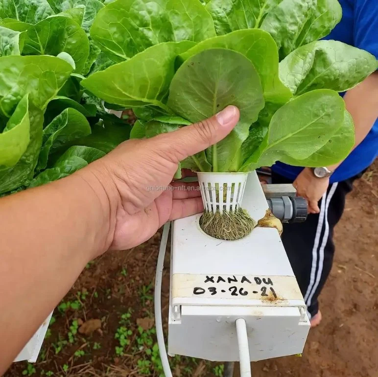 G&amp;N NFT Hydroponics PVC-Kanal für hydroponisches Anbchsystem Landwirtschaft Gewächshäuser