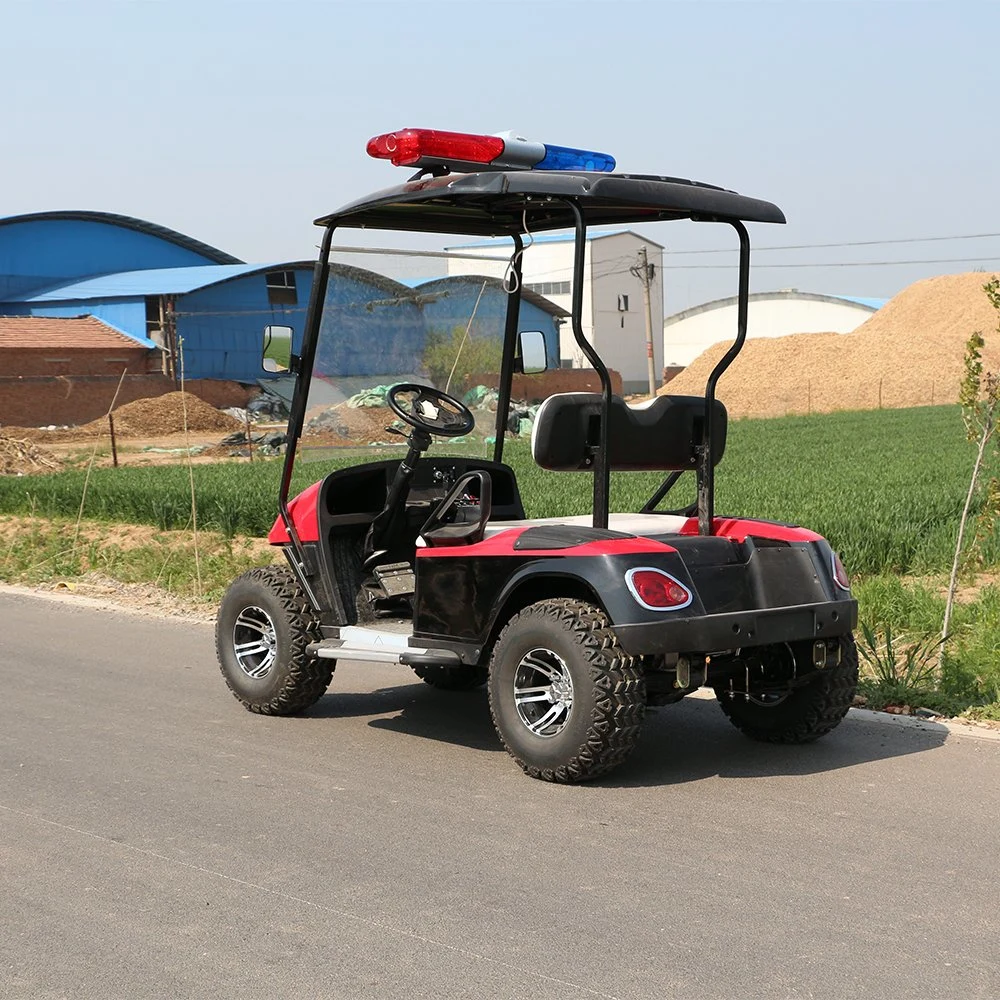 Adult 4 Wheel Leisure Electric Golf Shuttle with CE and DOT