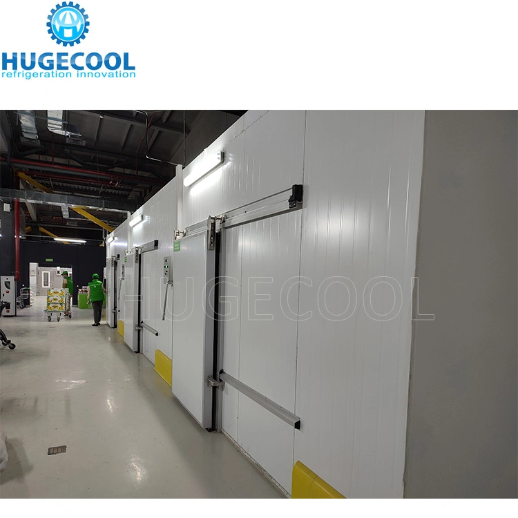 Commercial 5*5*3 Chiller/Cooler/Cold Storage Room with Refrigeration Equipments