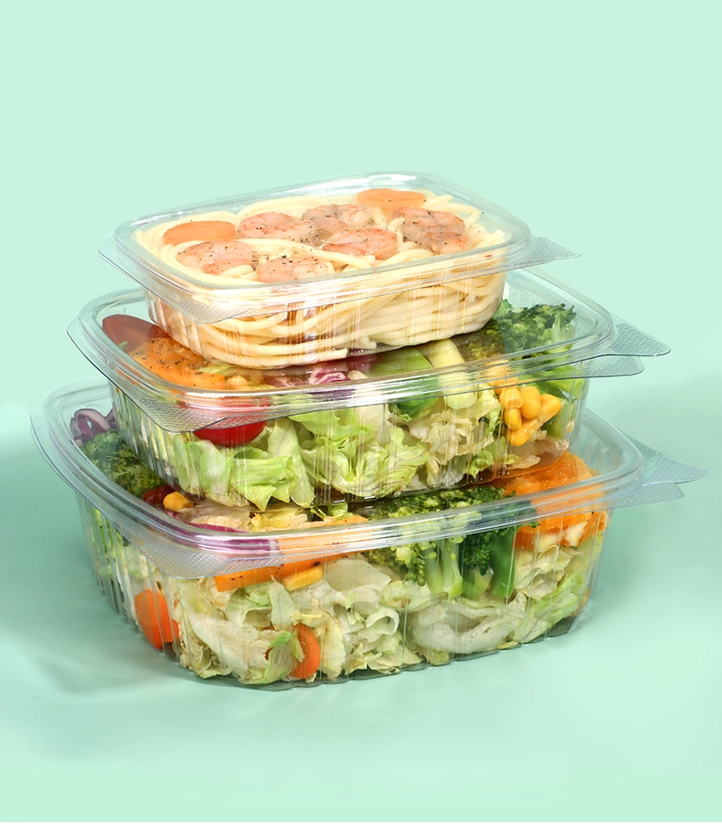 Plastic Pet Food Storage Transparent Container for Fruit