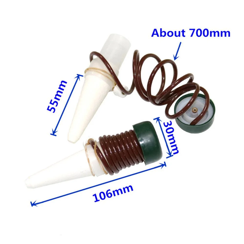 Dispositif automatique de pointes d'arrosage pour plantes en céramique de jardin à domicile.