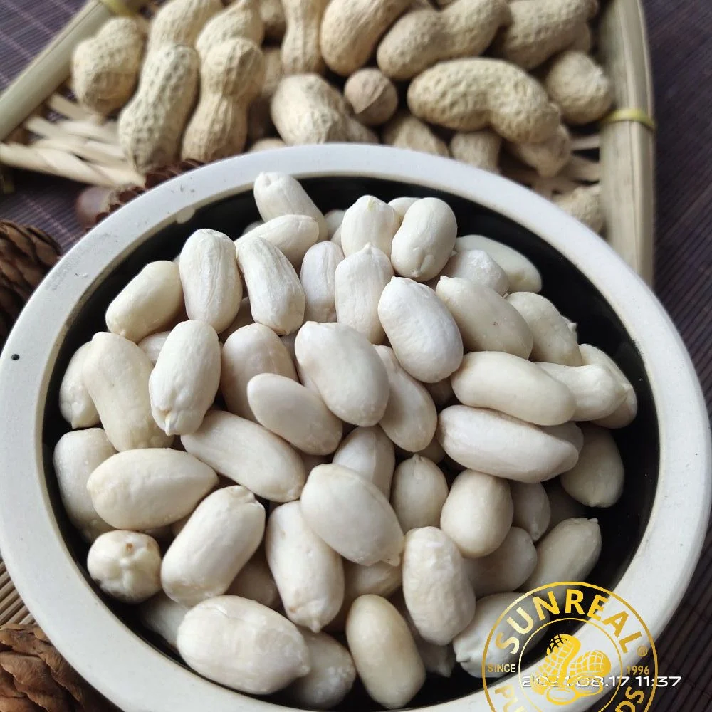 Pukee/Raw Blanched Peanut Kernels/Virginia/Quality Assurance/Best Materials