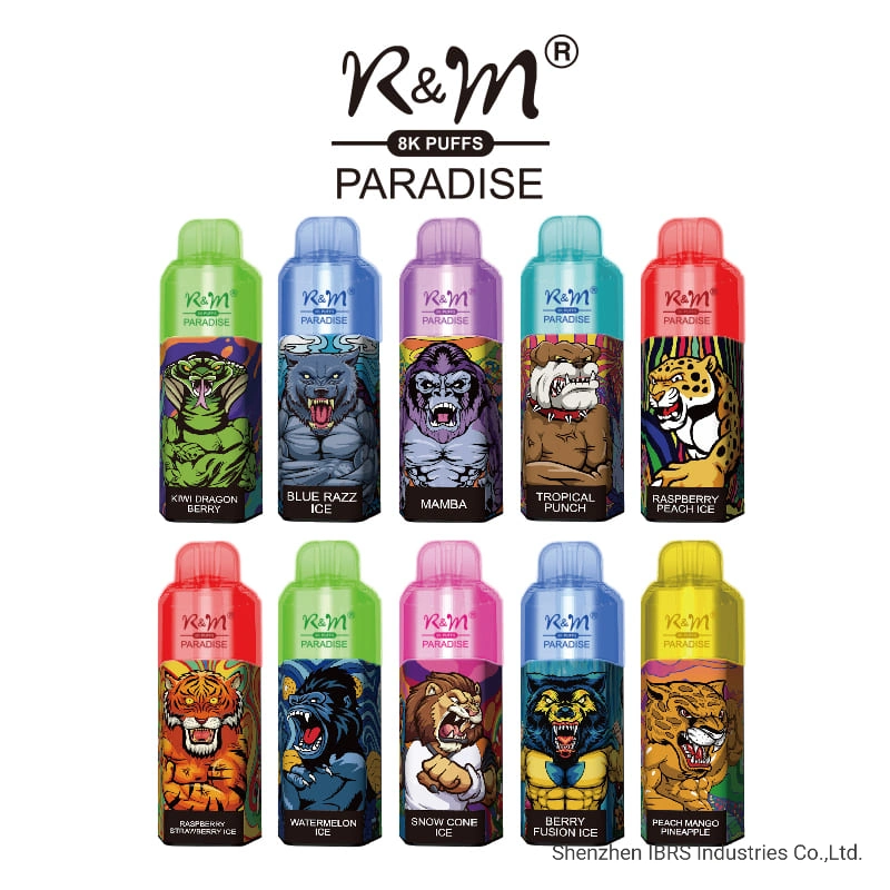 Factory Price R and M Paradise 8000 Disposable Electronic Cigarette 8K Vape Pen