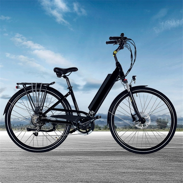 36V Electric Bike with CE Certificate En15194 Ebike for Europe