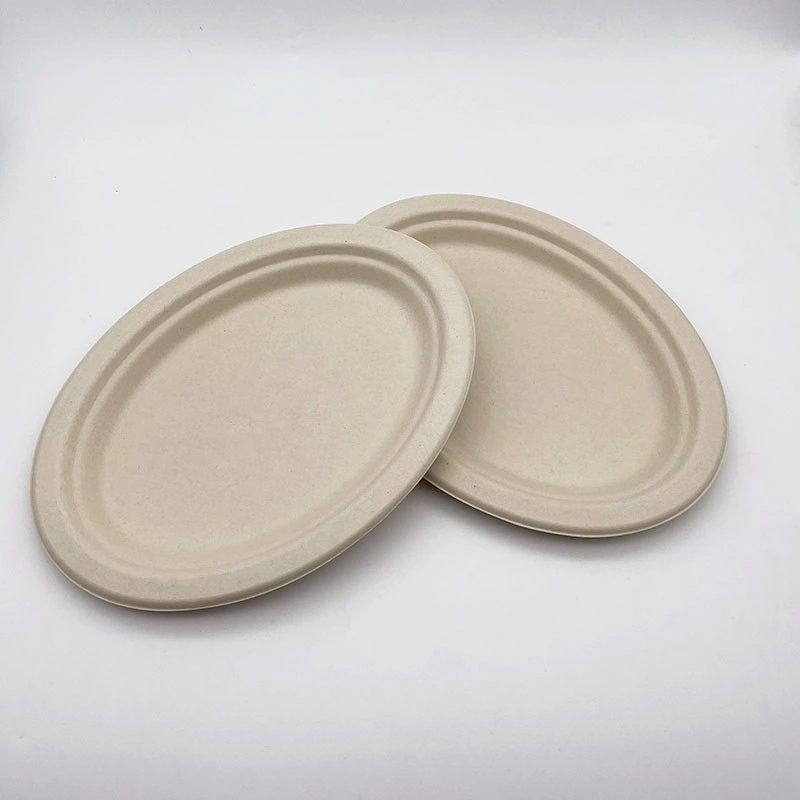 Pulp Middle Size Oval Plate Food Serving Tray Disposable Products China