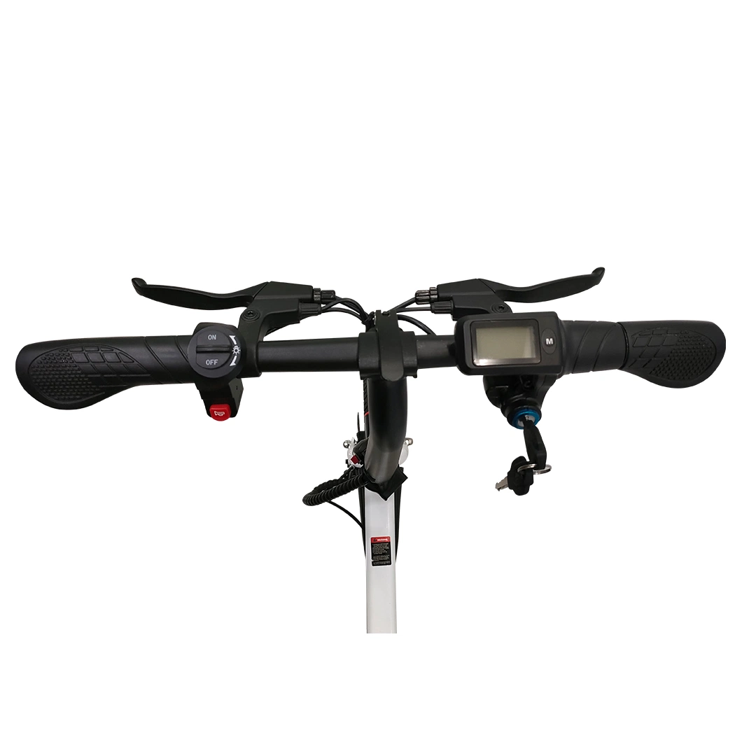 Certificação CE grossista 36V 350W Super Electric Bike eBike for Bicicleta elétrica para adultos