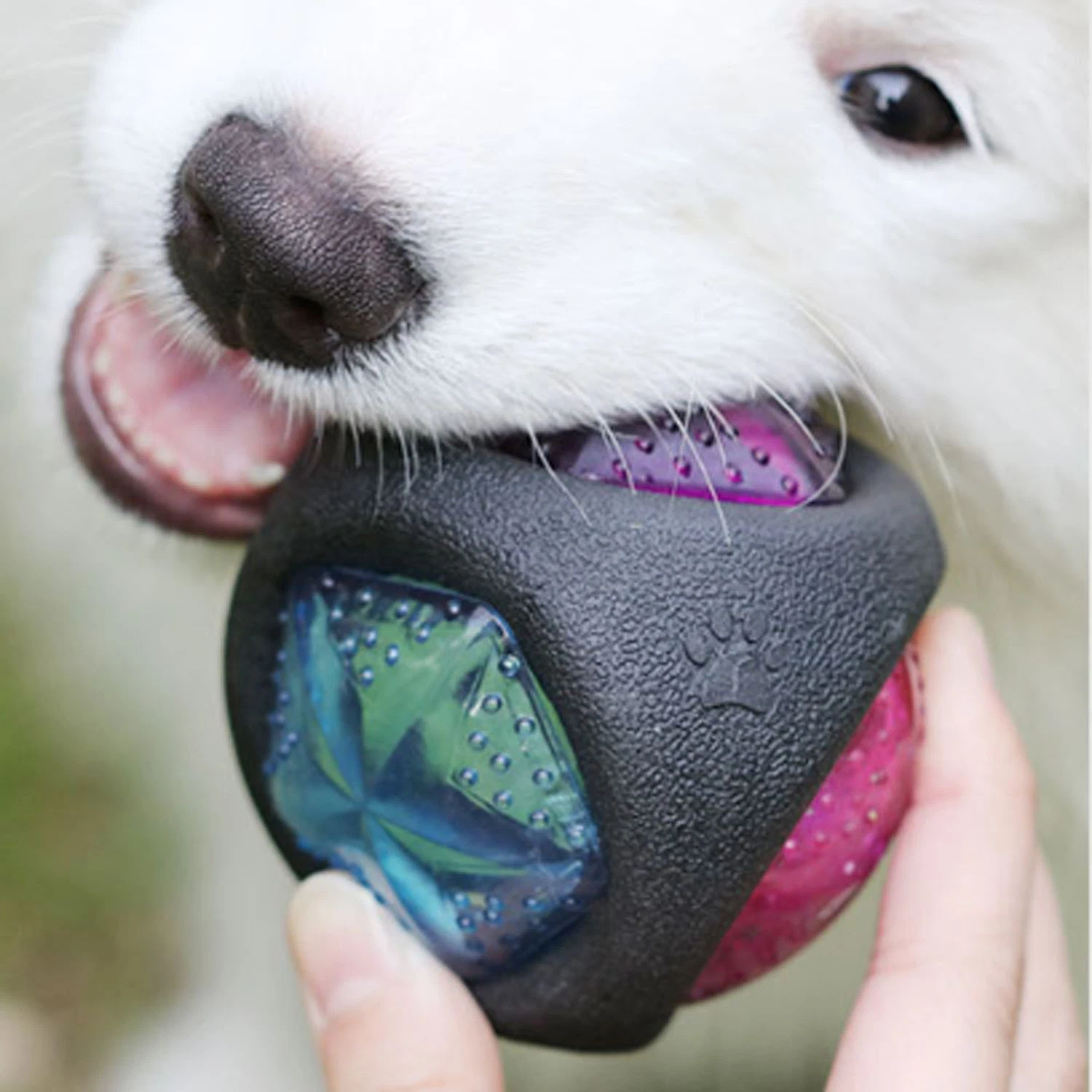 Dog Ball Elastic Flash LED Ball Bounce-Activated Squeaker Ball