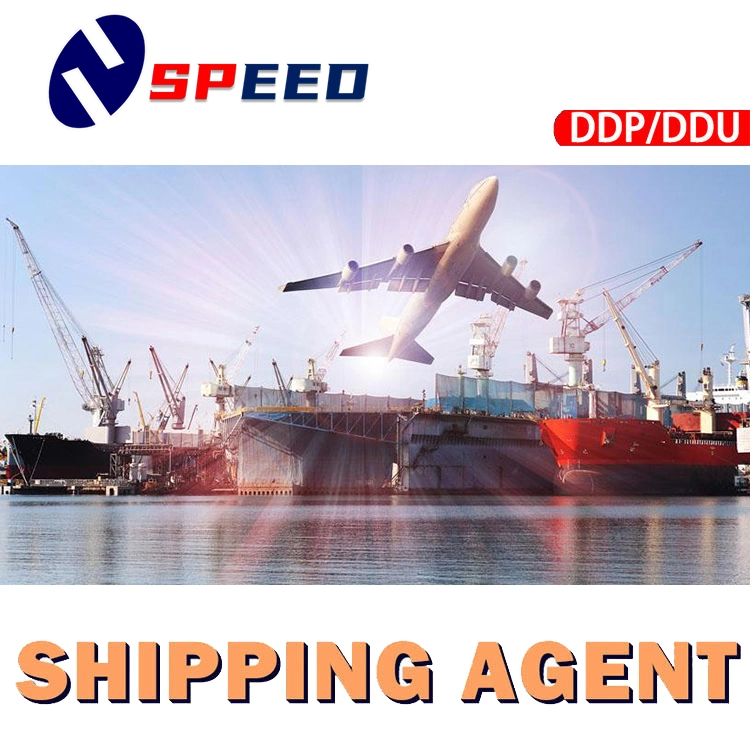 Cheapest Sea Freight Forwarder From China to USA Canada Mexico Cargo Services