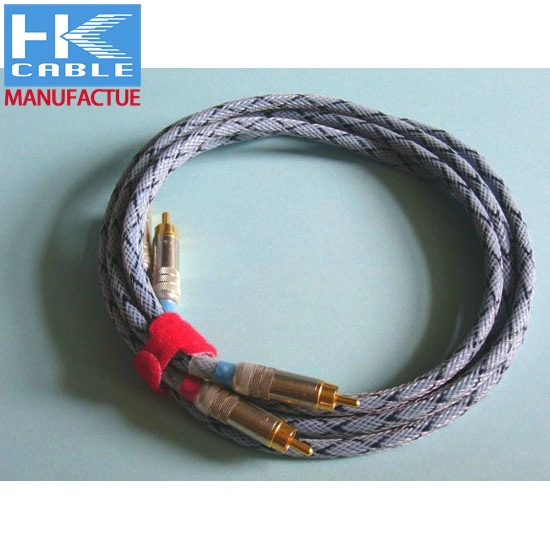 10 Pin 6FT Cable for AV Cable Connection Cord a/V RCA Audio Video Connect Cable Line