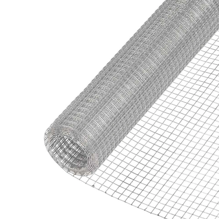 for Bird Cage Welded Wire Mesh Roll Hot Dipped Galvanized Welded Wire Mesh