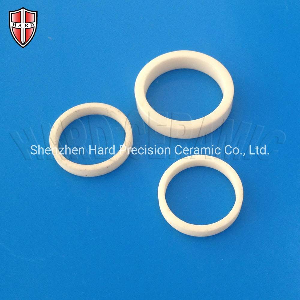 Customized Precision Alumina Ceramic Seal Gasket