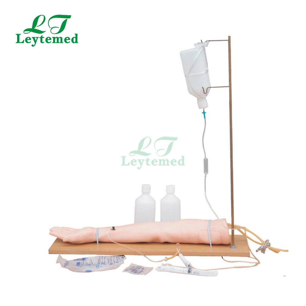 Ltm420A PVC Injectable Training Arm Model (With Set) for Medical Teaching