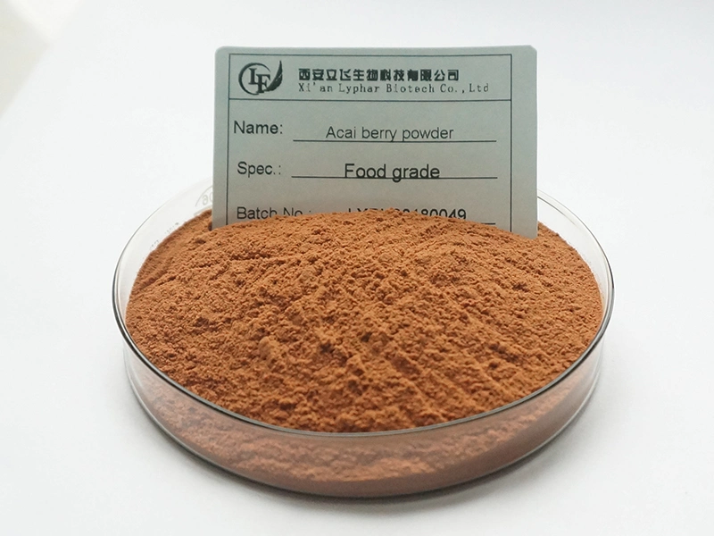 Wholesale/Supplier Freeze Dry Acai Berry Powder Acai Berry Extract