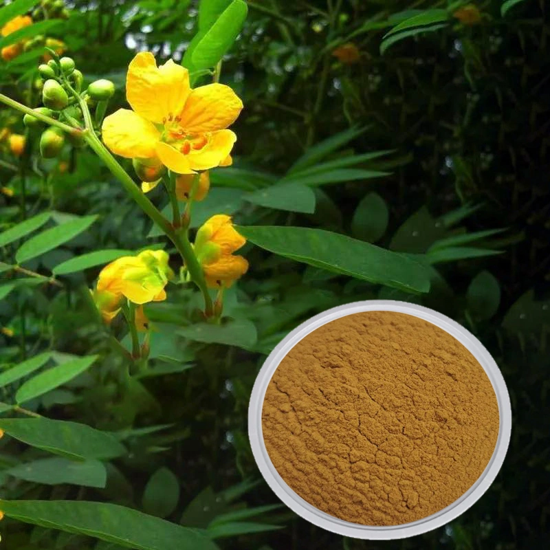 E. K Herb Factory fournit directement l'extrait de plante améliorant la vue 100% extrait de graine de cassia naturelle 4: 1~20: 1 Jue Mingzi Herbal Extract