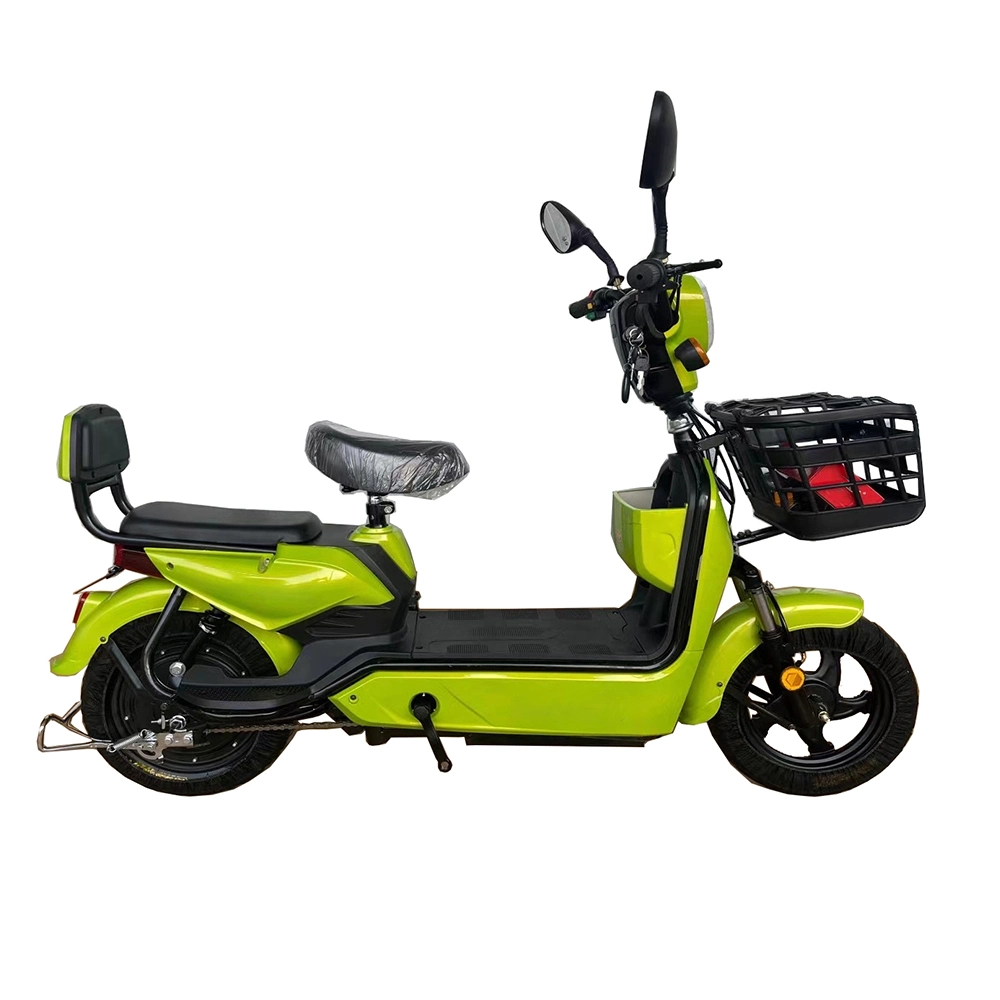 Tjhm-007ss tricycles électriques scooter de vélo électrique adulte vélo électrique Vélo électrique vélo électrique électrique