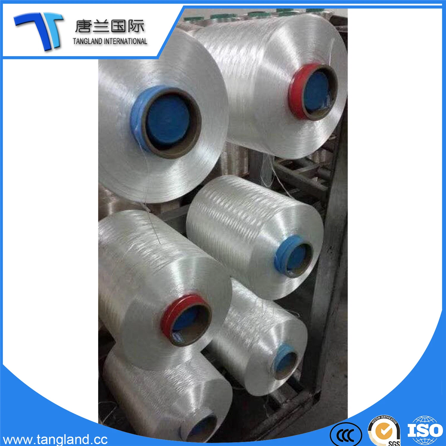 100% Polyamide Raw White Nylon 6 Yarn (PA 6 Yarn)