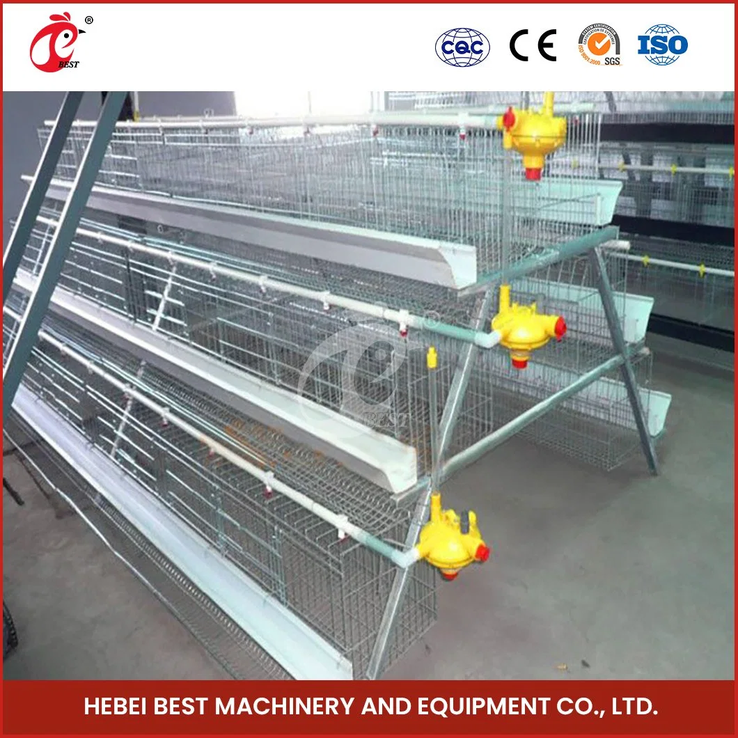 Bestchickencage a Tipo capa jaula China capa jaula Equipo de pollo Muestra de fábrica disponible Pollo de capa de aves de corral Configuración contenedor de envío Coop