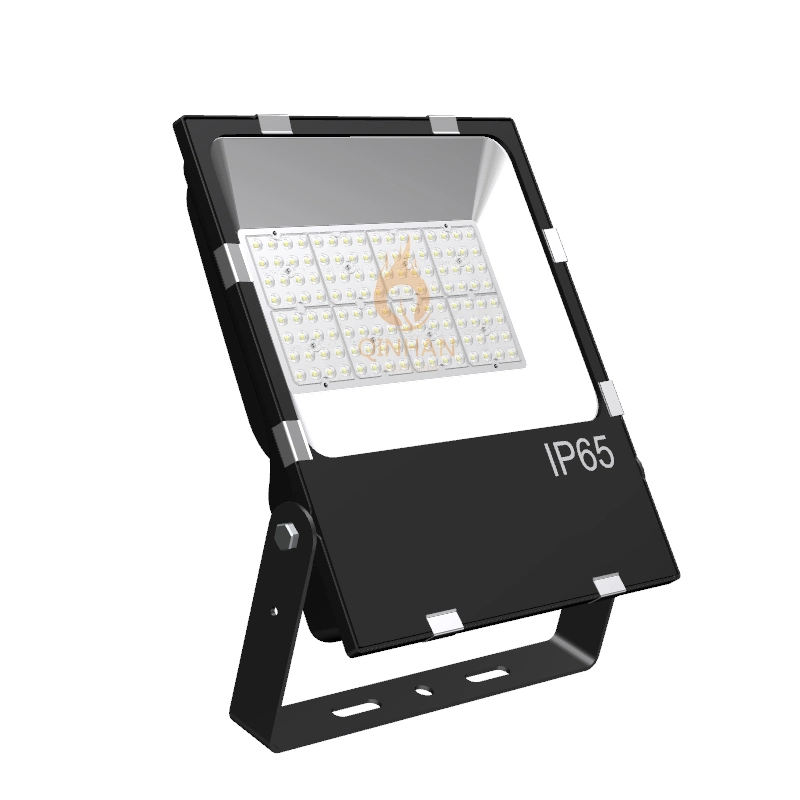 100W IP65 Outdoor Square Garden Park Area Tunnel Tennis Court Flood Lighting LED with Lens 5 Years Warranty