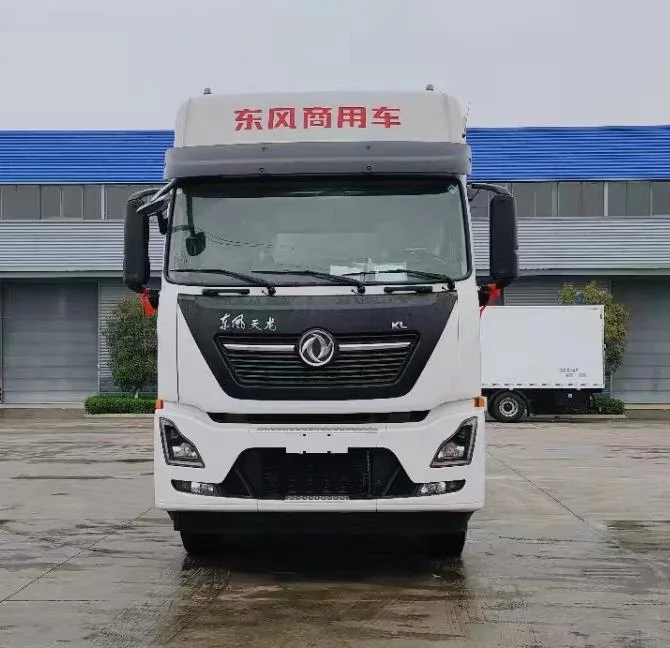 China Dongfeng 8*4 Refrigerated Truck 20 Ton Meat Transport Refrigerator Van Cargo Truck