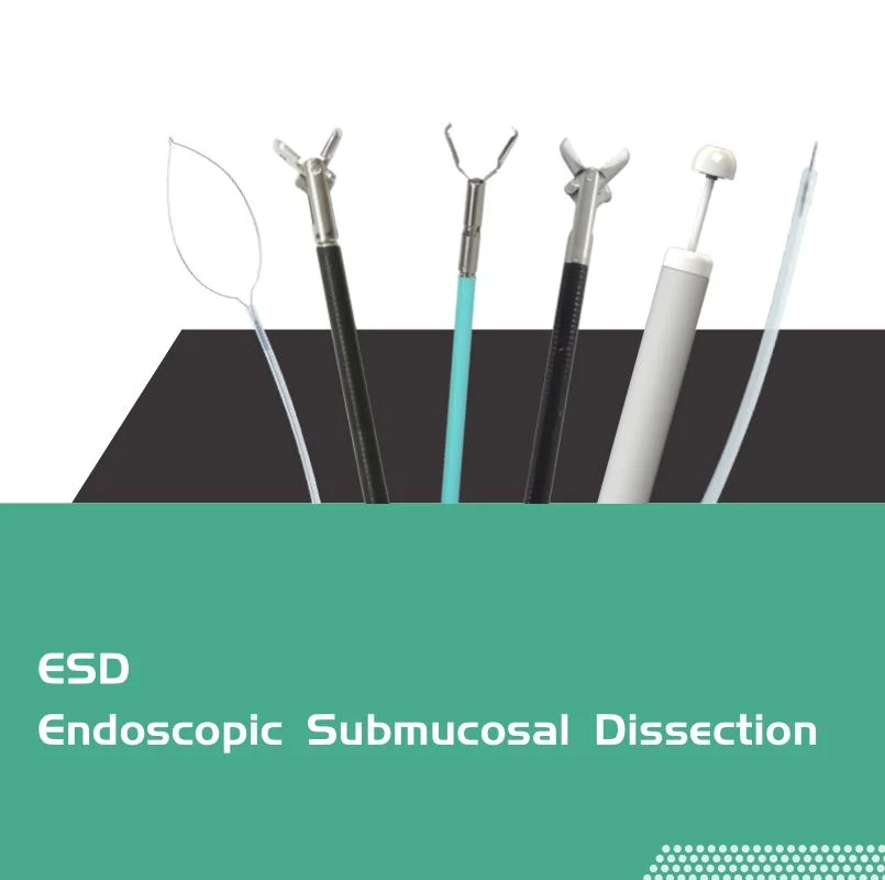 Disposable Scalpel Operation Disposable High Frequency Electric Knife ESD Knife D Type with CE