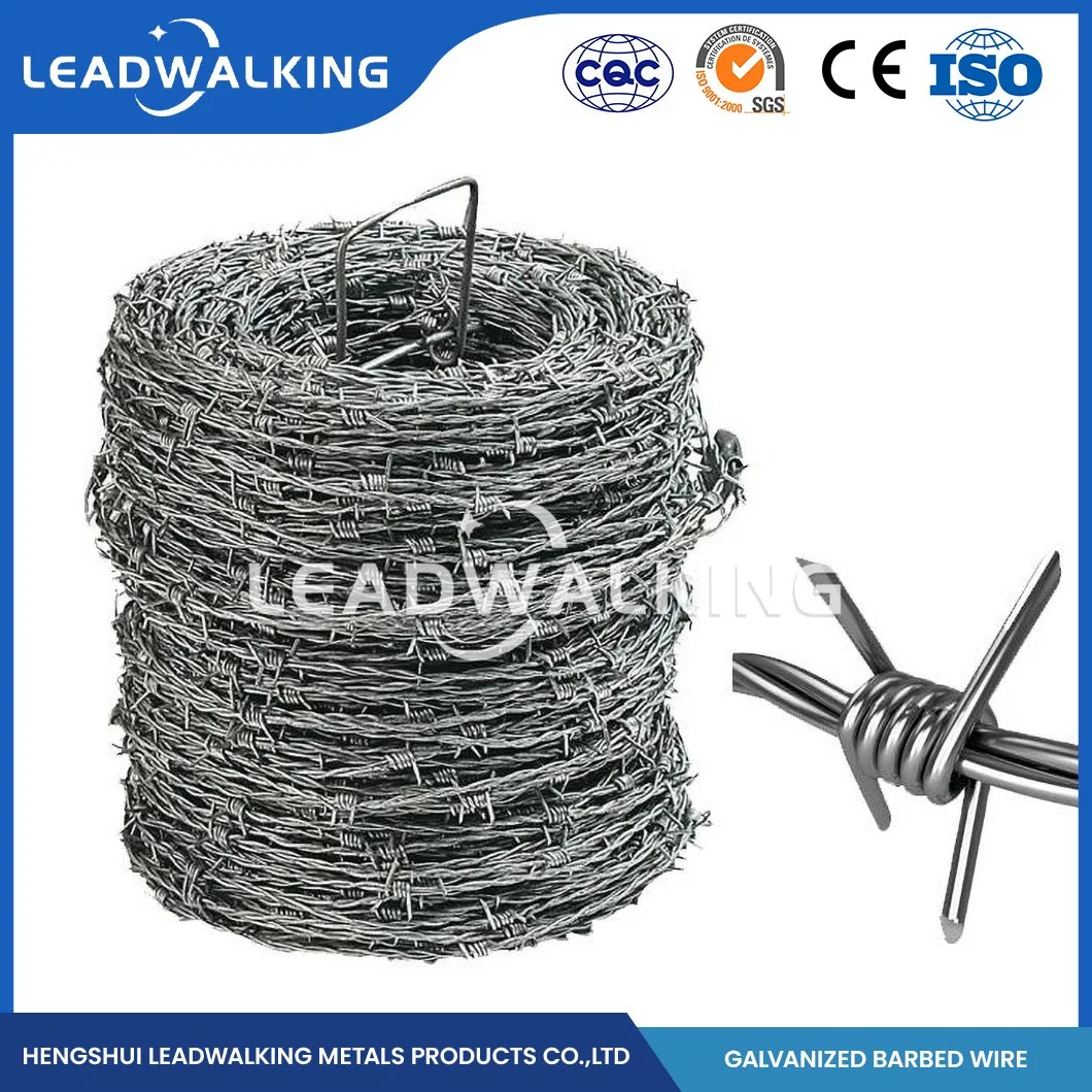 Leadwalking 500m Barbed Wire Roll Fabricators OEM Customized Zinc Coated Razor Types Wire China 10#X12# Swg Selling Galvanized Barbed Wire