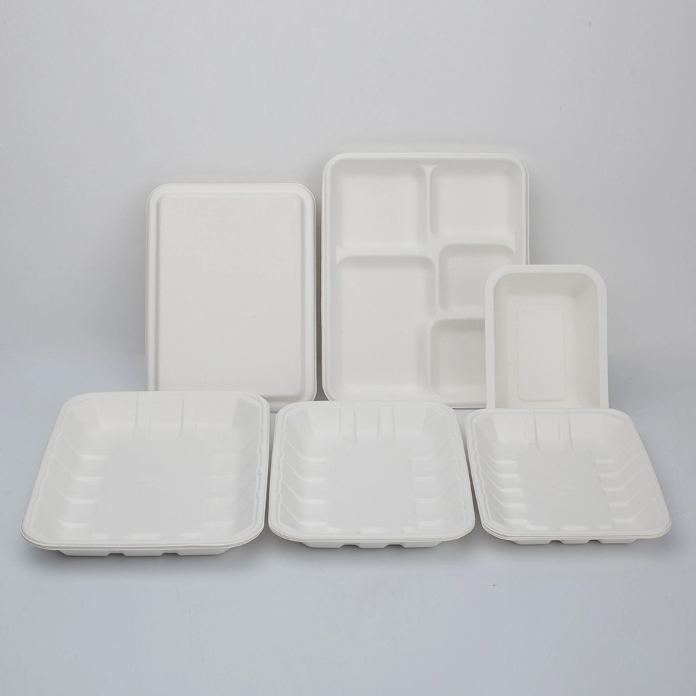 Home Compost with Hight Quality Eco-Friendly Biodegradable Food Tray Sugarcane Bagasse Paper Pulp Tableware Biodegradable Trays Disposable Food Holder