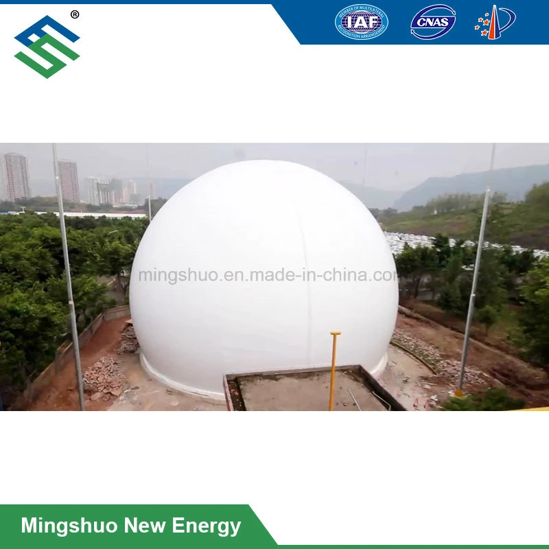 Constant Pressure Membrane Gas Dome Biogas Balloon Gas Storage Tank